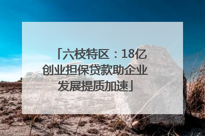 六枝特区：18亿创业担保贷款助企业发展提质加速