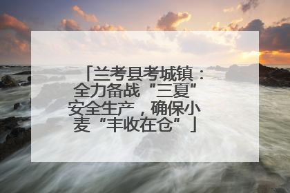 兰考县考城镇：全力备战“三夏”安全生产，确保小麦“丰收在仓”