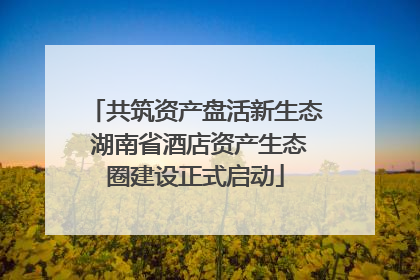 共筑资产盘活新生态 湖南省酒店资产生态圈建设正式启动