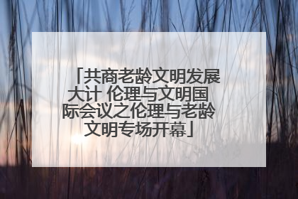 共商老龄文明发展大计 伦理与文明国际会议之伦理与老龄文明专场开幕
