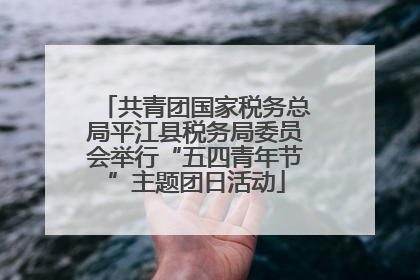 共青团国家税务总局平江县税务局委员会举行“五四青年节”主题团日活动