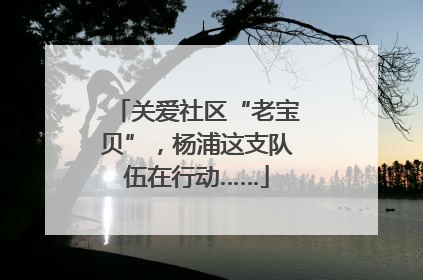 关爱社区“老宝贝”，杨浦这支队伍在行动……