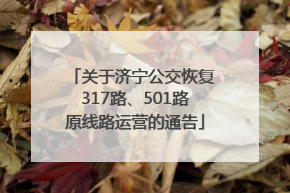 关于济宁公交恢复317路、501路原线路运营的通告