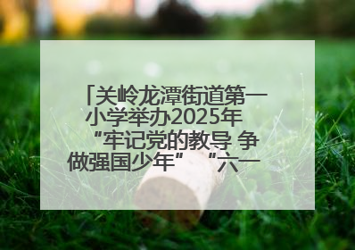 关岭龙潭街道第一小学举办2025年“牢记党的教导 争做强国少年”“六一”文艺汇演活动