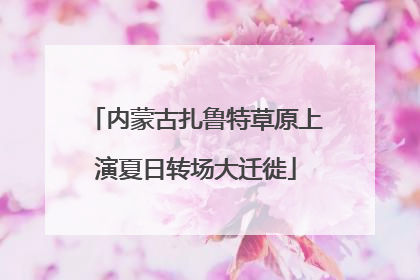 内蒙古扎鲁特草原上演夏日转场大迁徙