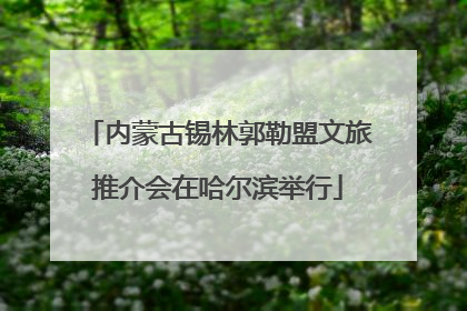 内蒙古锡林郭勒盟文旅推介会在哈尔滨举行