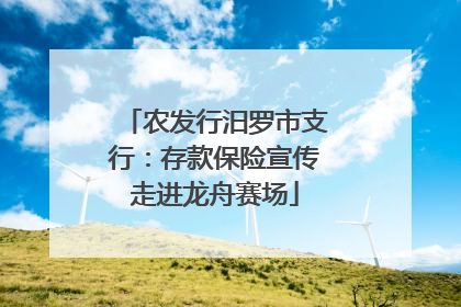 农发行汨罗市支行：存款保险宣传走进龙舟赛场