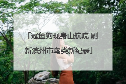 冠鱼狗现身山航院 刷新滨州市鸟类新纪录