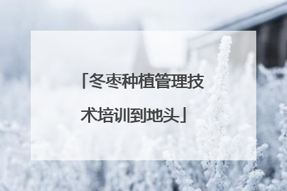 冬枣种植管理技术培训到地头