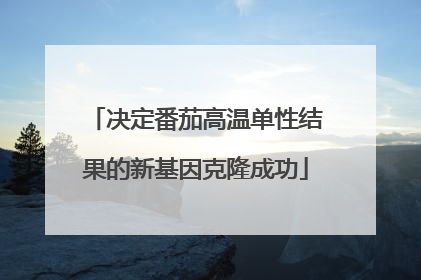 决定番茄高温单性结果的新基因克隆成功