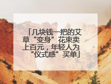 几块钱一把的艾草“变身”花束卖上百元，年轻人为“仪式感”买单