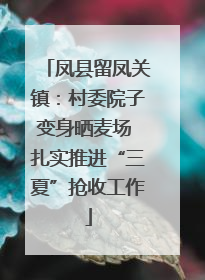 凤县留凤关镇：村委院子变身晒麦场 扎实推进“三夏”抢收工作