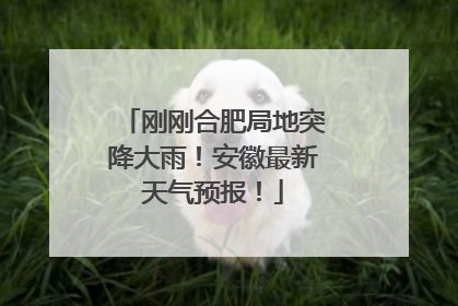 刚刚合肥局地突降大雨！安徽最新天气预报！