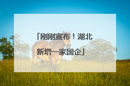 刚刚宣布！湖北新增一家国企