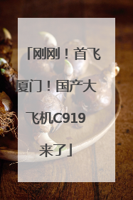 刚刚！首飞厦门！国产大飞机C919来了