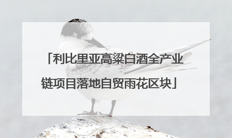 利比里亚高粱白酒全产业链项目落地自贸雨花区块
