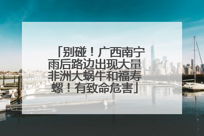 别碰！广西南宁雨后路边出现大量非洲大蜗牛和福寿螺！有致命危害