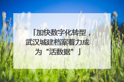 加快数字化转型，武汉城建档案着力成为“活数据”