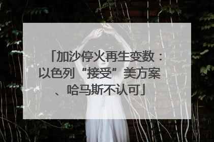 加沙停火再生变数：以色列“接受”美方案、哈马斯不认可