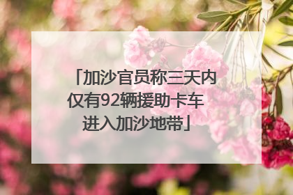 加沙官员称三天内仅有92辆援助卡车进入加沙地带