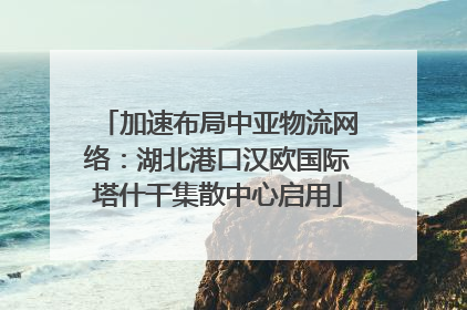 加速布局中亚物流网络：湖北港口汉欧国际塔什干集散中心启用