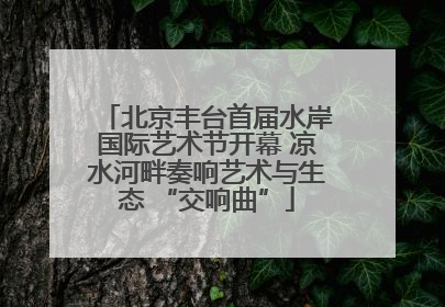 北京丰台首届水岸国际艺术节开幕 凉水河畔奏响艺术与生态 “交响曲”