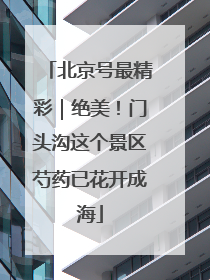 北京号最精彩｜绝美！门头沟这个景区芍药已花开成海