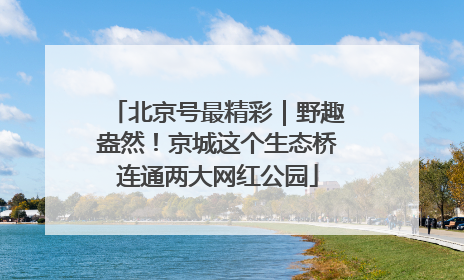 北京号最精彩｜野趣盎然！京城这个生态桥连通两大网红公园