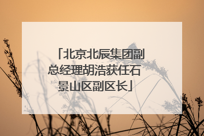 北京北辰集团副总经理胡浩获任石景山区副区长