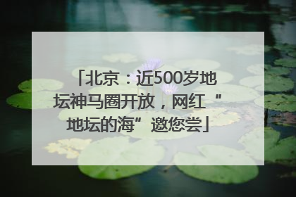 北京：近500岁地坛神马圈开放，网红“地坛的海”邀您尝