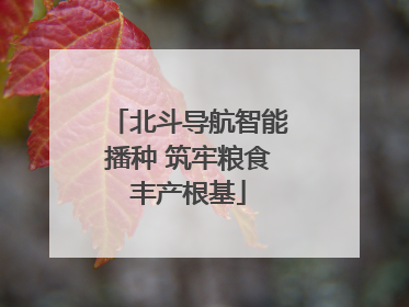 北斗导航智能播种 筑牢粮食丰产根基