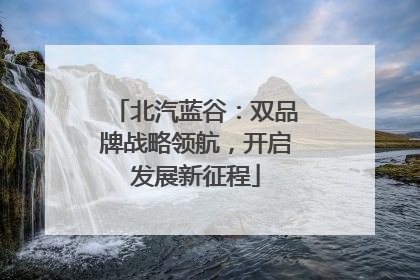 北汽蓝谷：双品牌战略领航，开启发展新征程