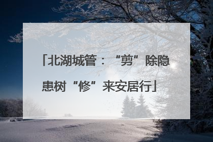 北湖城管：“剪”除隐患树“修”来安居行