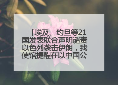埃及、约旦等21国发表联合声明谴责以色列袭击伊朗，我使馆提醒在以中国公民尽快陆路离境