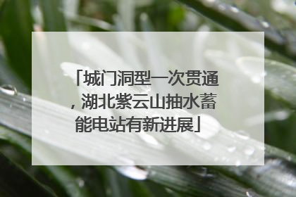 城门洞型一次贯通，湖北紫云山抽水蓄能电站有新进展