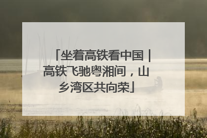 坐着高铁看中国｜高铁飞驰粤湘间，山乡湾区共向荣