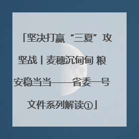 坚决打赢“三夏”攻坚战丨麦穗沉甸甸 粮安稳当当——省委一号文件系列解读①