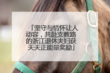 坚守与情怀让人动容，共赴支教路的浙江退休夫妇获天天正能量奖励