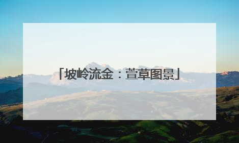坡岭流金：萱草图景