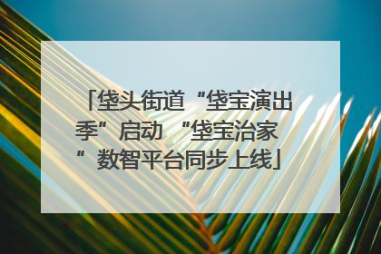 垡头街道“垡宝演出季”启动 “垡宝治家”数智平台同步上线