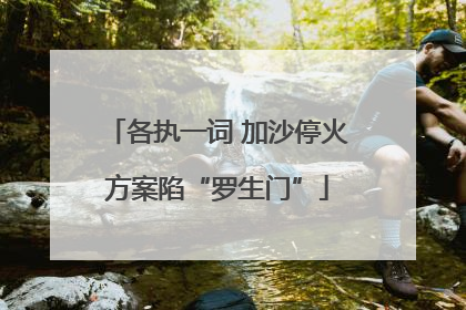 各执一词 加沙停火方案陷“罗生门”