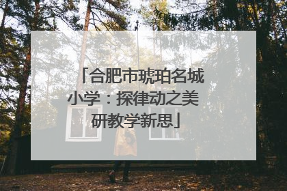合肥市琥珀名城小学：探律动之美 研教学新思
