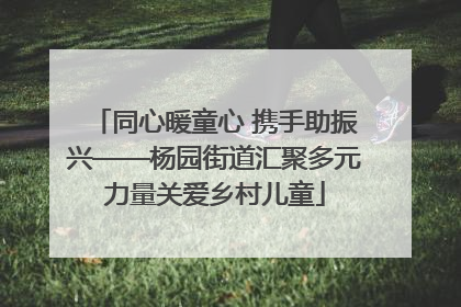 同心暖童心 携手助振兴——杨园街道汇聚多元力量关爱乡村儿童