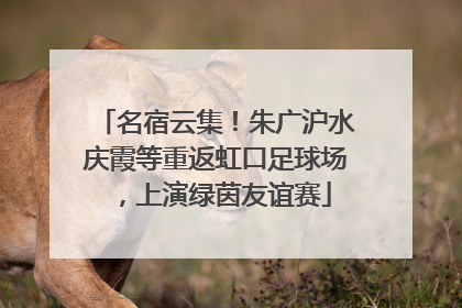 名宿云集！朱广沪水庆霞等重返虹口足球场，上演绿茵友谊赛