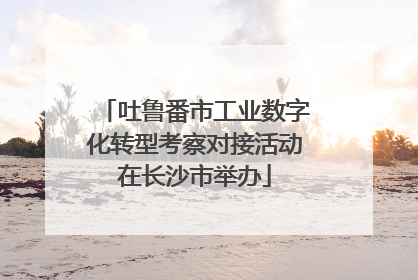 吐鲁番市工业数字化转型考察对接活动在长沙市举办