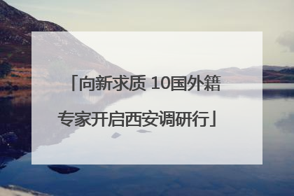 向新求质 10国外籍专家开启西安调研行