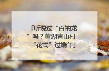 听说过“百衲龙”吗？黄湖青山村“花式”过端午