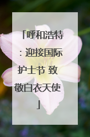 呼和浩特：迎接国际护士节 致敬白衣天使