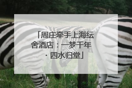 周庄牵手上海纭舍酒店：一梦千年・四水归堂