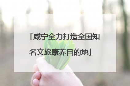 咸宁全力打造全国知名文旅康养目的地